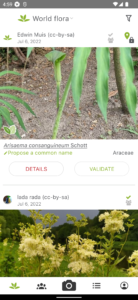 PlantNet Plant Identification 3.17.4