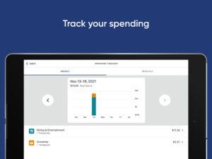 DEEPBLUE Debit 6.8.2 DEEPBLUE Debit 6.8.2