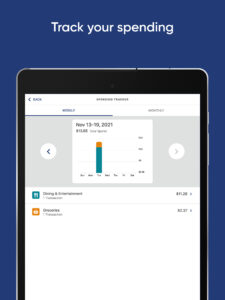 DEEPBLUE Debit 6.8.2 DEEPBLUE Debit 6.8.2