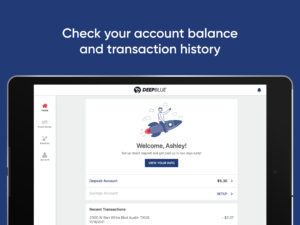 DEEPBLUE Debit 6.8.2 DEEPBLUE Debit 6.8.2