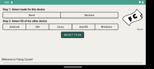 FlyingCarpet (github version) 9.0.8