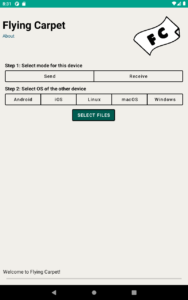 FlyingCarpet (github version) 9.0.8