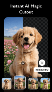 AI Photo Editor - Polish 1.742.256