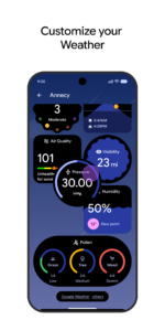 Pixel Weather 1.1.20260227.895503997.release
