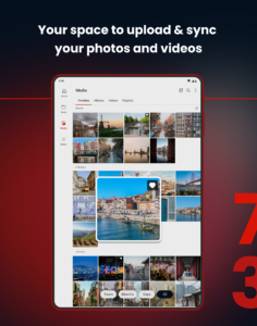 MEGA 16.3(261051040)(3324839dc9)