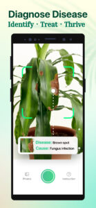Plant Parent: Plant Care Guide 1.106 Plant Parent: Plant Care Guide 1.106