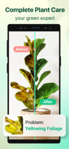 Plant Parent: Plant Care Guide 1.106 Plant Parent: Plant Care Guide 1.106