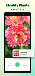Plant Parent: Plant Care Guide 1.106 Plant Parent: Plant Care Guide 1.106