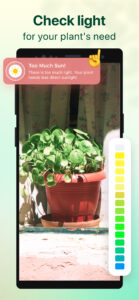 Plant Parent: Plant Care Guide 1.106 Plant Parent: Plant Care Guide 1.106