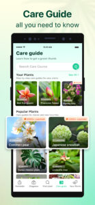 Plant Parent: Plant Care Guide 1.106 Plant Parent: Plant Care Guide 1.106