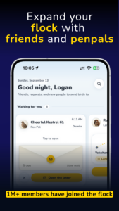 Roost Social 1.4.44 Roost Social 1.4.44