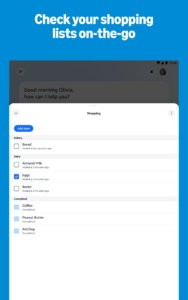 Amazon Alexa 2.2.683672.0 Amazon Alexa 2.2.683672.0