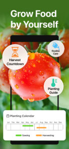 GrowIt: Vegetable Garden Care 1.2.3 GrowIt: Vegetable Garden Care 1.2.3