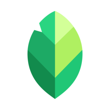 Snapseed by Google LLC APK icon