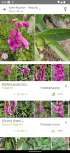 PlantNet Plant Identification 3.17.4