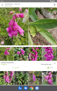 PlantNet Plant Identification 3.17.4