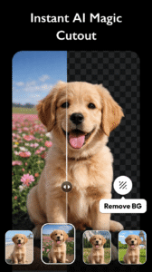 AI Photo Editor - Polish 1.752.261