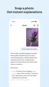 Qwen 1.1.8 Qwen 1.1.8