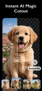Photo Editor - Polish 1.76.262