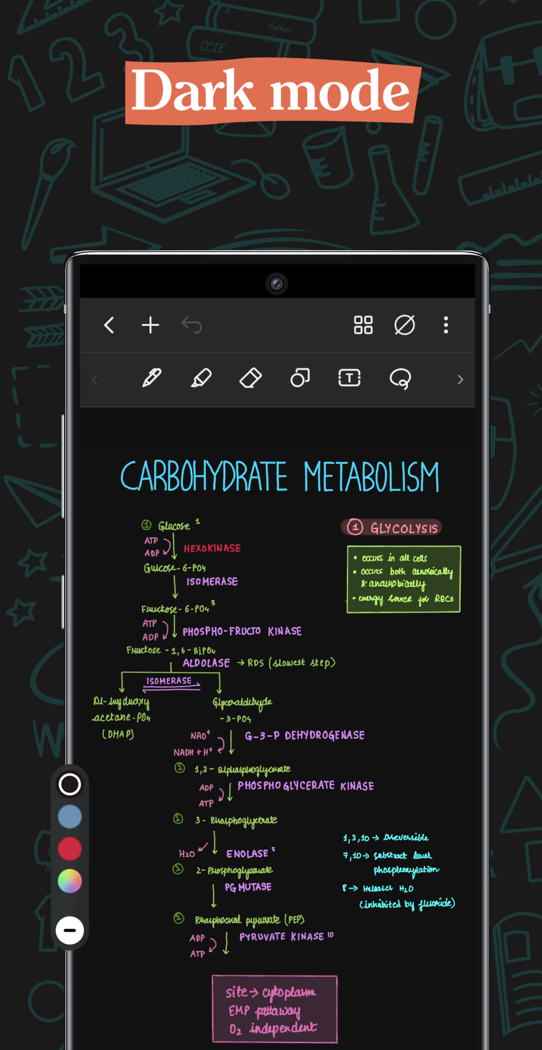 Noteself Download Noteshelf 3: Digital Notes APKs for Android - APKMirror