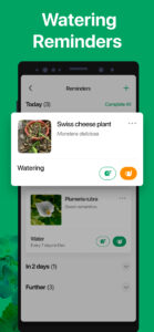 PictureThis - Plant Identifier 3.25 PictureThis - Plant Identifier 3.25