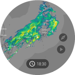 Windy.com - Weather Forecast (Wear OS) 50.1.1