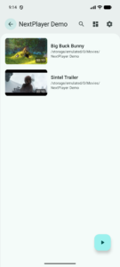 Next Player (f-droid version) 0.19.0