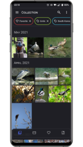 Aves Gallery (github version) 1.13.2 Aves Gallery (github version) 1.13.2