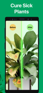 PictureThis - Plant Identifier 3.25 PictureThis - Plant Identifier 3.25