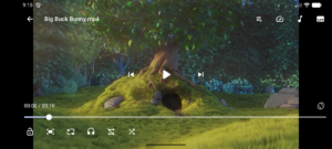 Next Player (f-droid version) 0.19.0