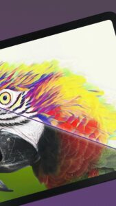 DeepArtEffects AI Photo Editor 2.0.9 DeepArtEffects AI Photo Editor 2.0.9