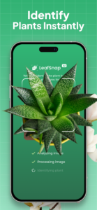 Plant Identifier: LeafSnap 2.8.6 Plant Identifier: LeafSnap 2.8.6