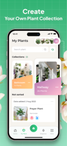 Plant Identifier: LeafSnap 2.8.6 Plant Identifier: LeafSnap 2.8.6