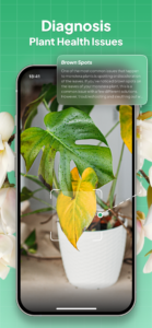 Plant Identifier: LeafSnap 2.8.6 Plant Identifier: LeafSnap 2.8.6