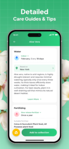 Plant Identifier: LeafSnap 2.8.6 Plant Identifier: LeafSnap 2.8.6