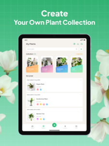 Plant Identifier: LeafSnap 2.8.6 Plant Identifier: LeafSnap 2.8.6