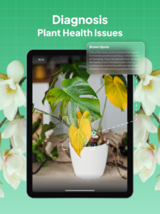 Plant Identifier: LeafSnap 2.8.6 Plant Identifier: LeafSnap 2.8.6