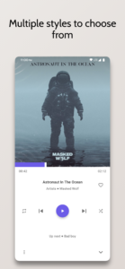 Pulse Music 4.5.2 Pulse Music 4.5.2