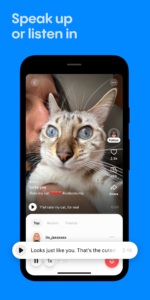 Stereo: Speak Up & Share 5.6.4