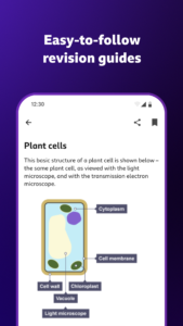 BBC Bitesize - Exam Revision 5.0.5
