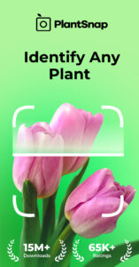PlantSnap: Plant Identifier 8.0.2 PlantSnap: Plant Identifier 8.0.2