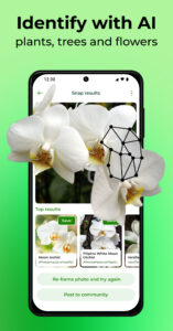 PlantSnap: Plant Identifier 8.0.2 PlantSnap: Plant Identifier 8.0.2