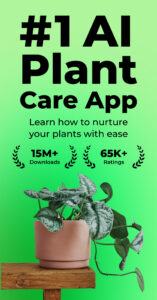PlantSnap: Plant Identifier 8.0.2 PlantSnap: Plant Identifier 8.0.2
