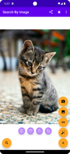 Search By Image 8.6.0 (noarch) (nodpi) (Android 5.0+) Search By Image 8.6.0 (noarch) (nodpi) (Android 5.0+)