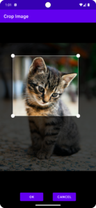 Search By Image 8.6.0 (noarch) (nodpi) (Android 5.0+) Search By Image 8.6.0 (noarch) (nodpi) (Android 5.0+)