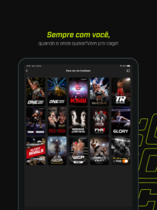 Combate 4.3.3 Combate 4.3.3