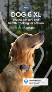 Tractive GPS for Cats & Dogs 26.36.0