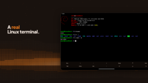 Andronix - Linux on Android 10.1.1