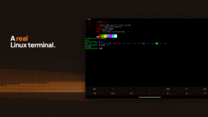 Andronix - Linux on Android 10.1.1