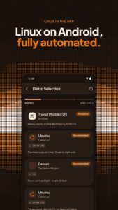 Andronix - Linux on Android 10.1.1
